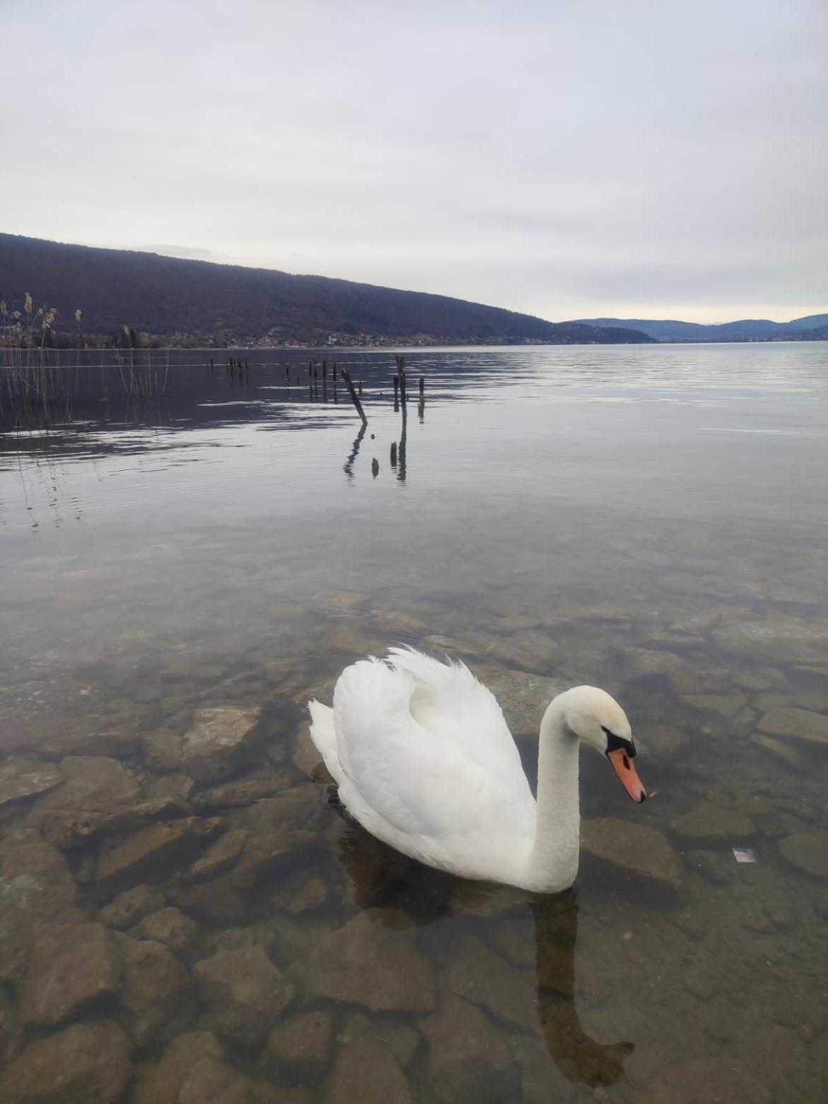 Chambre Atypique 2 Pers 200M Du Lac Saint-Jorioz Luaran gambar